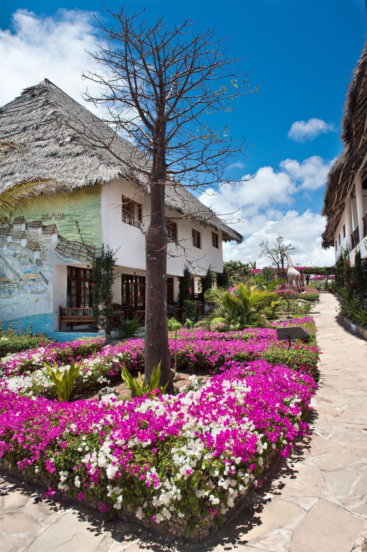 וואטאמו Jacaranda Beach Resort מראה חיצוני תמונה